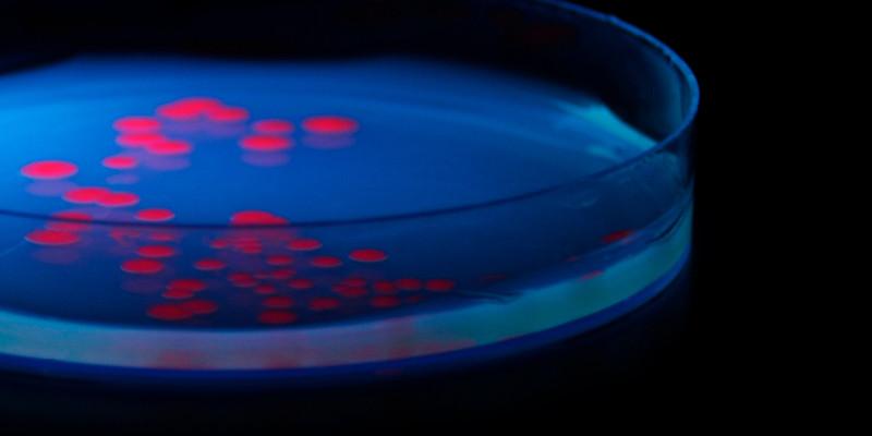 Research points to second chance for rejected antibiotic candidate