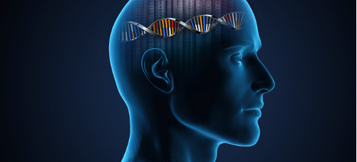 “Brainy” mice raise hope of better treatments for cognitive disorders