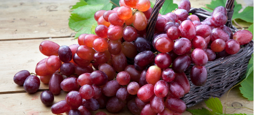 Sustainable skincare range created from waste products of grapes