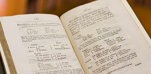 an open linguistics book