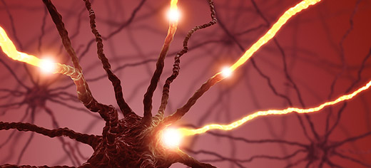 Researchers explain different mechanisms of pain