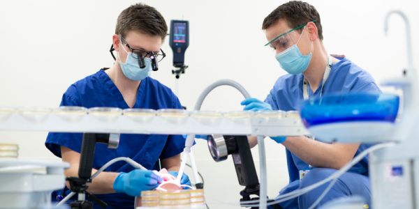 Dental students practising techniques on a dummy head