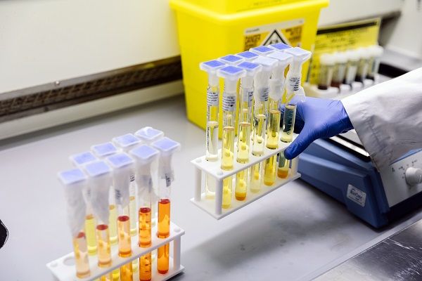 A researcher picks up test tubes containing coloured liquids