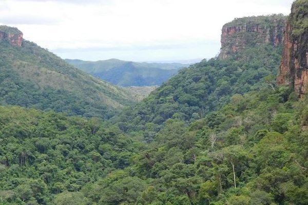 The image shows the view above the tree canopy in the Mata de Vale in the Chapada Guimares region of the Amazon forest. There is a dense cover of green vegetation across both side of a narrow valley.