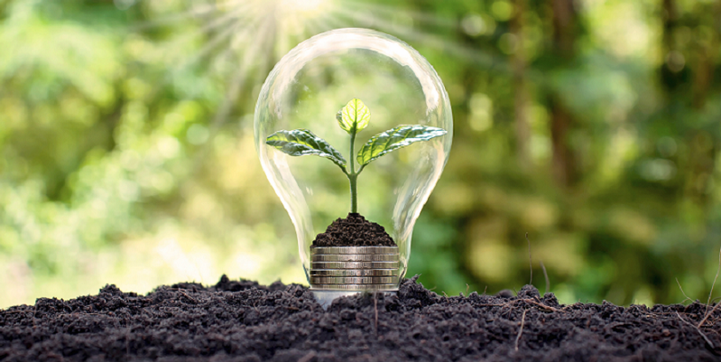 A lightbulb with a plant in it representing green energy