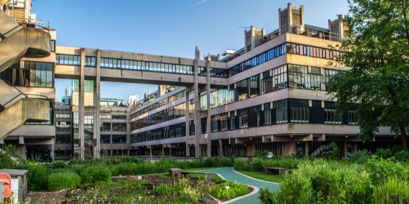 A photo of the sustainable garden on campus with buildings in the background