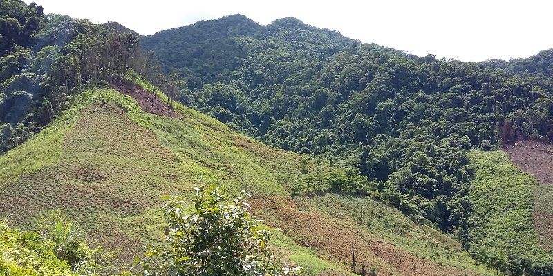 Landscape in south-east Asia showing large section of deforested land