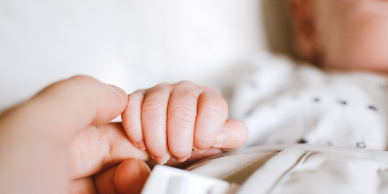 Baby holding adult hand