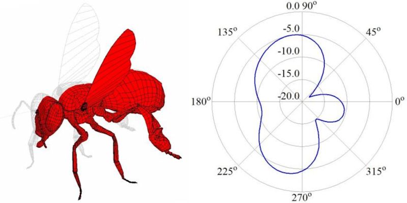 A bee visualised by a radar
