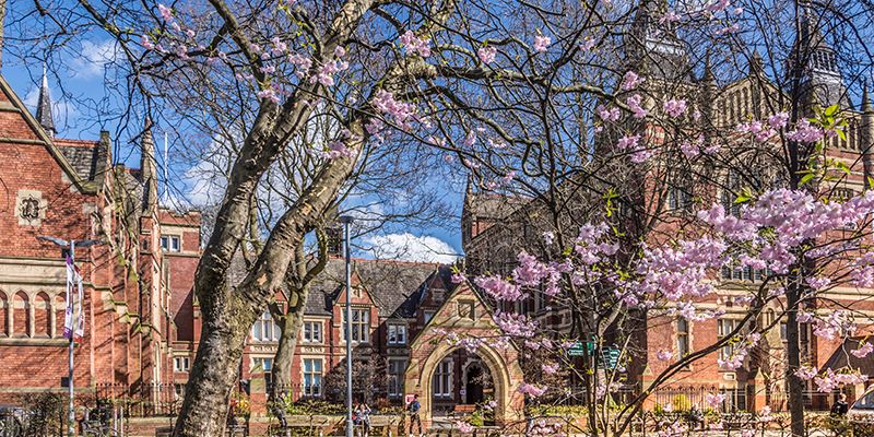 Blossom on campus. Used for QS 2019