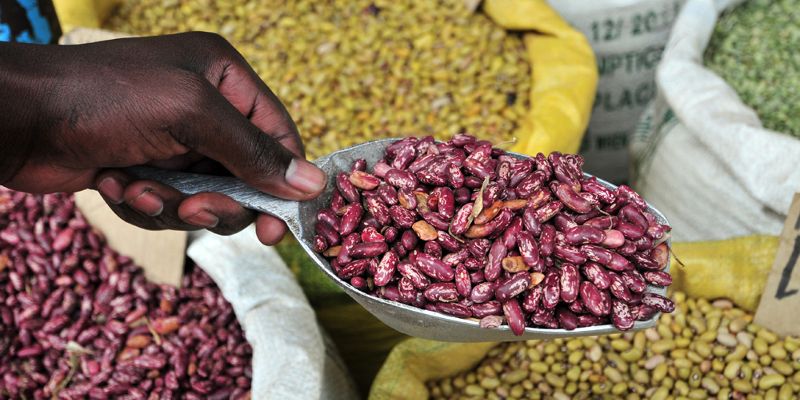 Agriculture in parts of sub-Saharan Africa must undergo significant transformation if it is to continue to produce key food crops, according to a new study published today in Nature Climate Change.