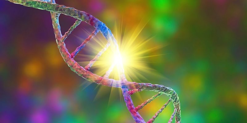 Multicoloured DNA double helix with a point of bright light on the right ladder of the strand.