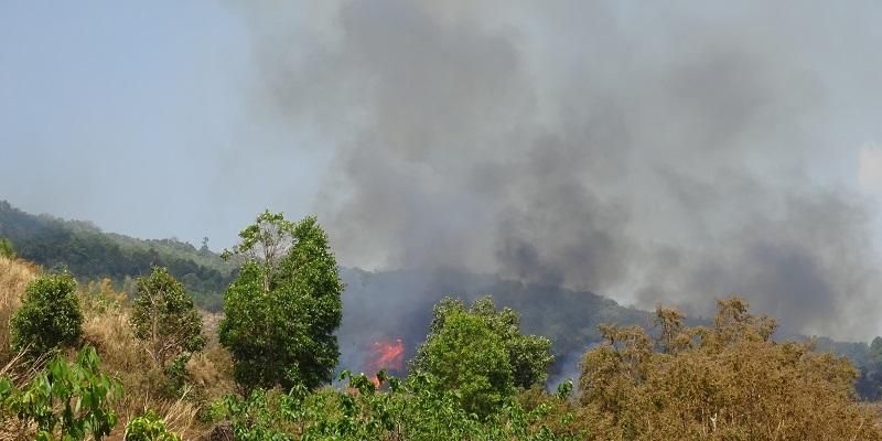 Smoke from burning to clear forests and agricultural land