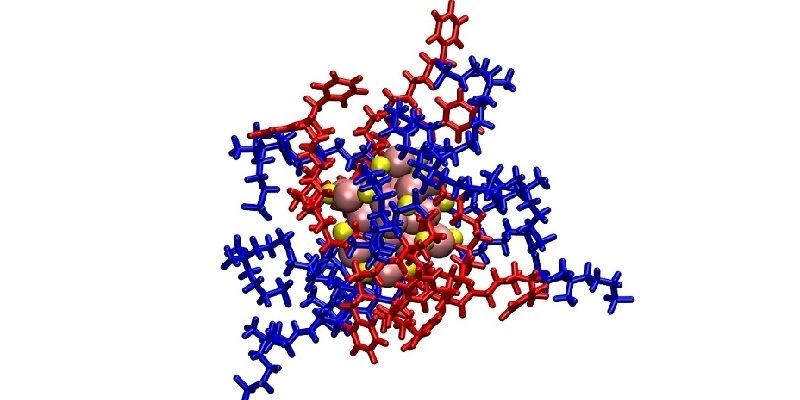 A gold nanocluster