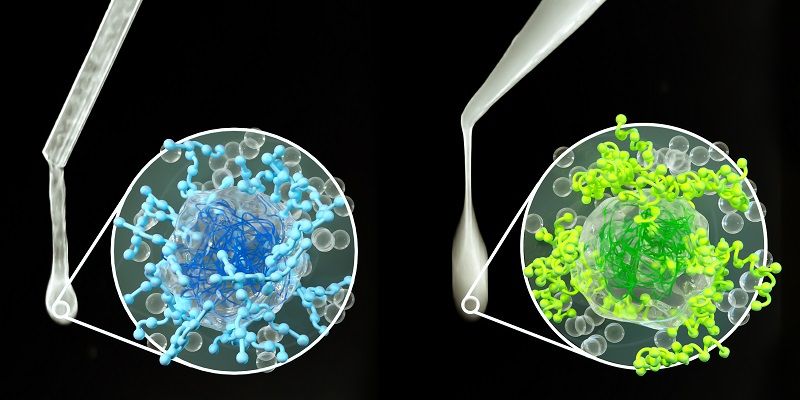 A graphical representation of the molecular structure of the lubricants. It shows that the protein forms a mesh like structure at the heart of the hydrated microgel which is partially coated by a hydrogel made from a polysaccharide.