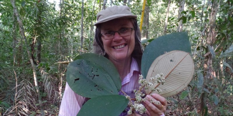 Professor Beatriz Schwantes Marimon holds some rainforest leaves.