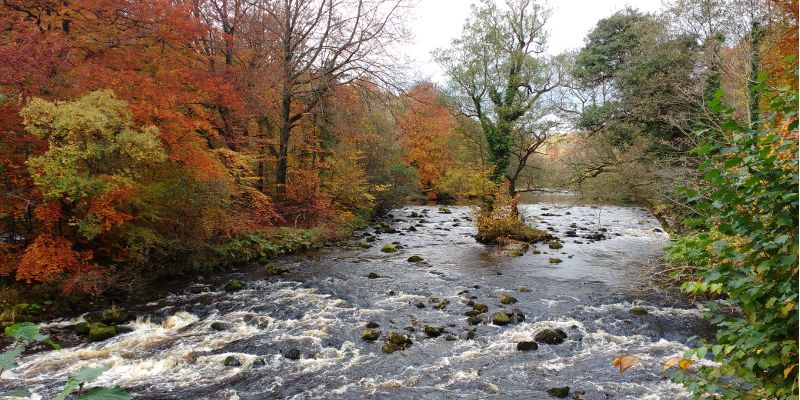 A new £6 million project led by the University of Leeds is predicted to bring a £50 million benefit to the Yorkshire economy, through reducing the costs and the impact of water-related threats to the region.