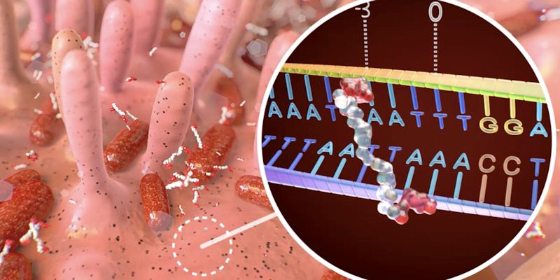 Cartoon of the inside of the bowel with E coli bacteria and a DNA helix inserted