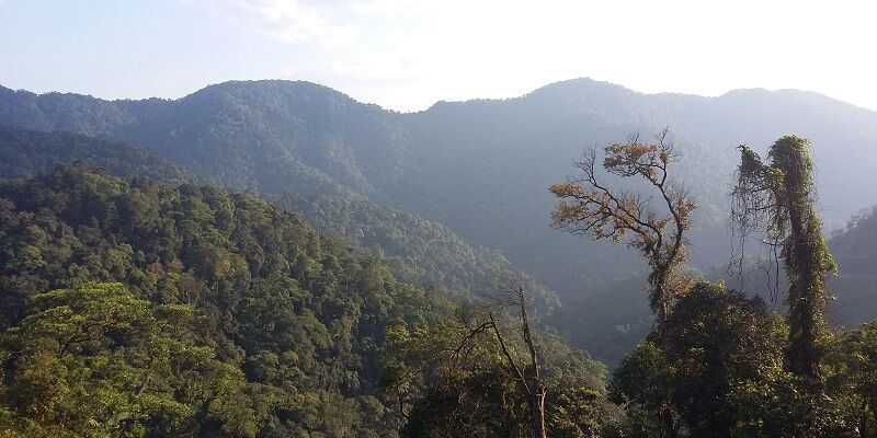 Khe Nuoc Trong forests, Vietnam