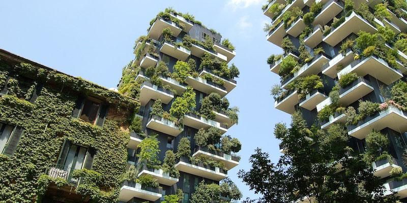 Two buildings with balconies covered with greenery