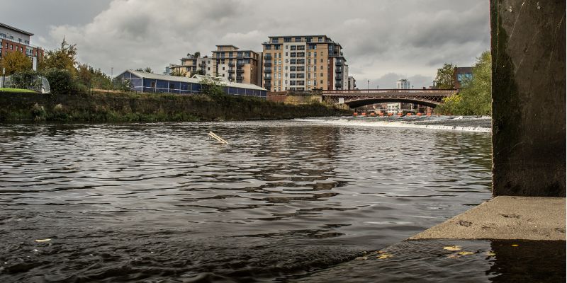 A study by scientists at the University of Leeds suggests that pharmaceuticals are polluting our rivers more than pesticides.