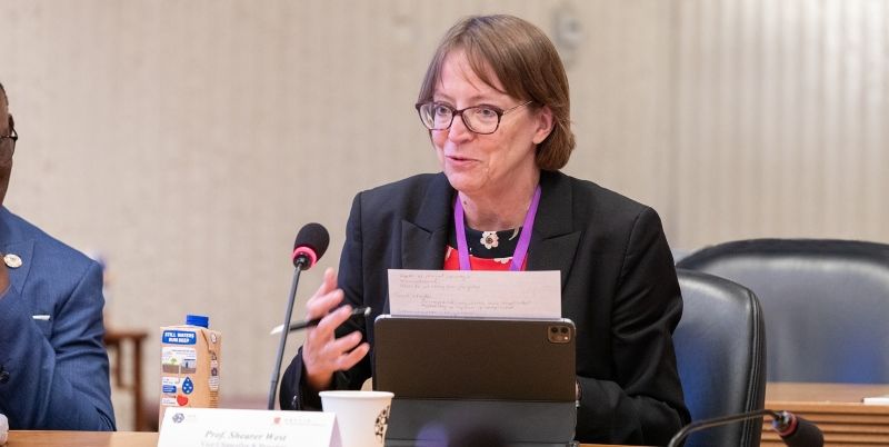 Professor Shearer West speaking at a round table panel event.