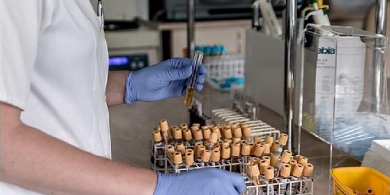 Picture shows a laboratory worker processing a number of blood samples