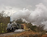 North Yorkshire Moors Steam Railway