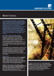 brochure cover art