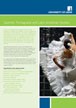 brochure cover art
