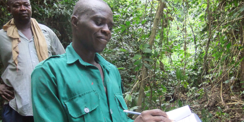 A technician from the Ghana Forestry Commission collects data.