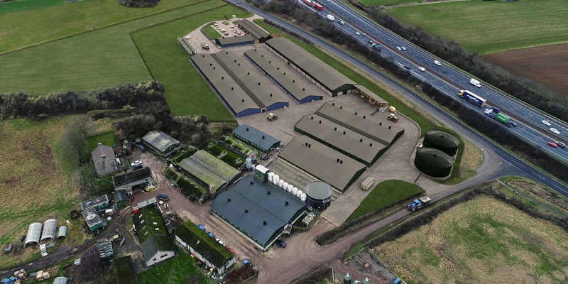 aerial view of the National Pig Centre