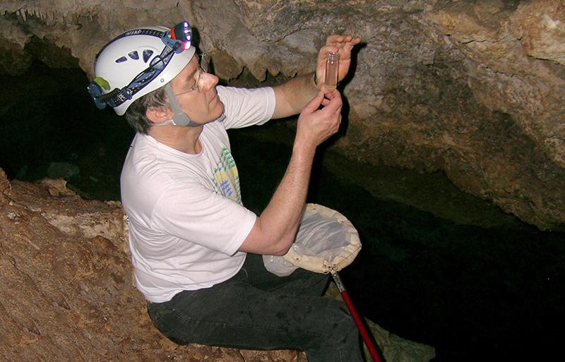 person wearing a helmet looking at a glass tube inside a cave