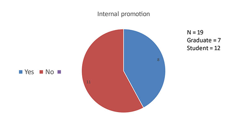 A pie chart called "Internal promotion" showing the results of a questionaire with 19 undergraduates (7 graduates and 12 students). 8 answered "yes" and 11 answered "no".