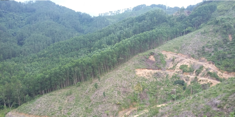 Desmatamento florestal nas montanhas do Vietnã