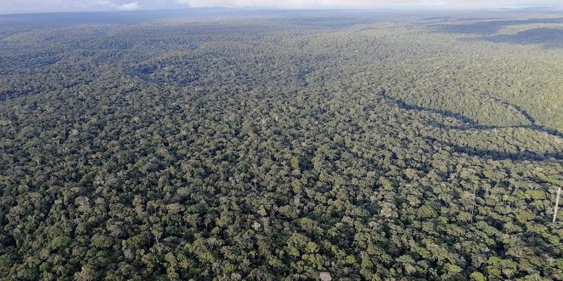 Amazon Forest seen from the air