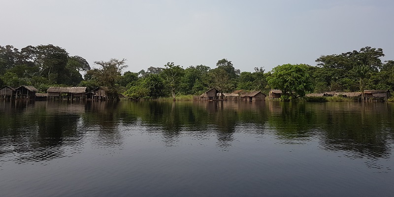 Then Congo Peatlands