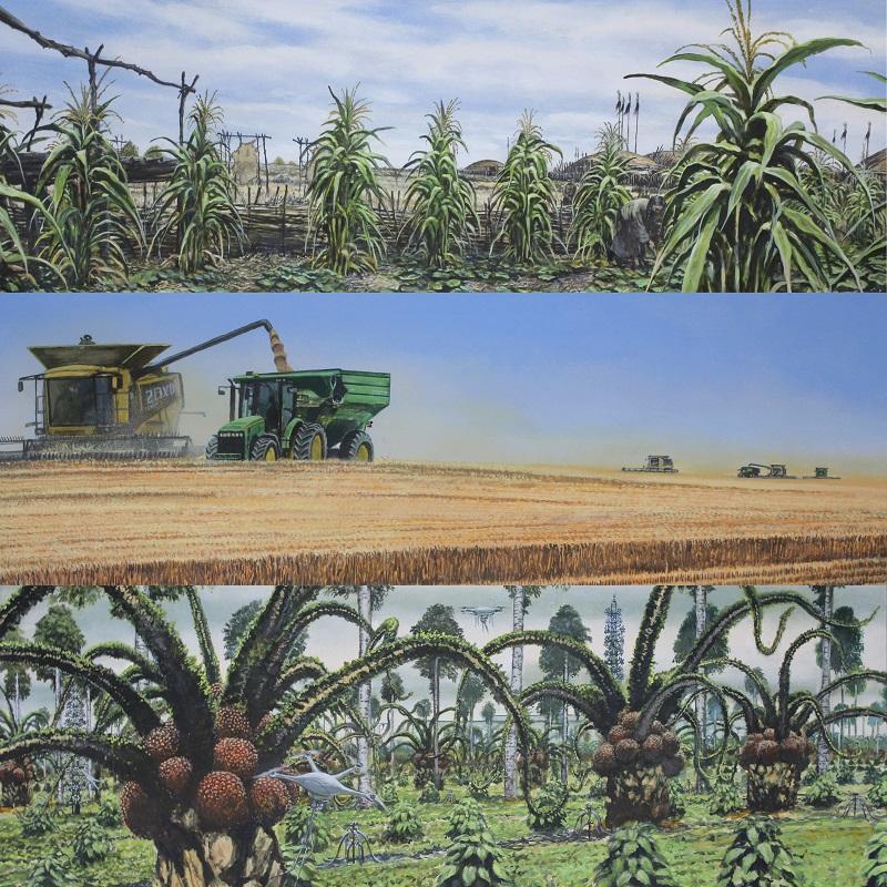 The top painting is based on pre-colonisation Indigenous cities and communities with buildings and a diverse maize-based agriculture. The second is the same area today, with a grain monoculture and large harvesters. The last image, however, shows agricultural adaptation to a hot and humid subtropical climate, with imagined subtropical agroforestry based on oil palms and arid zone succulents. The crops are tended by AI drones, with a reduced human presence. 