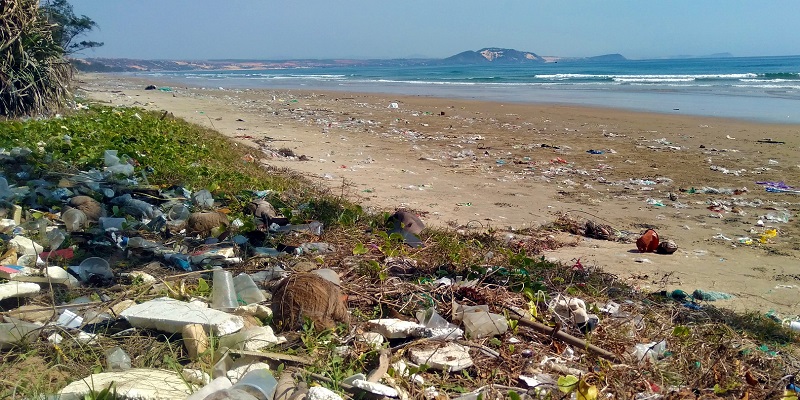 Pollution, including plastic waste, washed onto a beach.