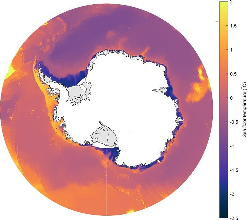 Circular graphic has Antarctica in the centre surrounded by gradients of blue, pink, purple and yellow/orange representing the varying sea floor temperature. There is a temperature bar next to the graphic with -2.5 (blue) degrees at the bottom and 2 (yellow) at the top. 