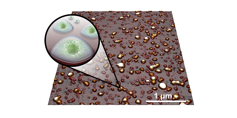 Image from an atomic force microscope. The samples show a number of microgels which appear like fat droplets, which are  plant proteins in a packet of water.