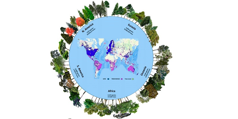 The number of tree species and individuals per continent in the Global Forest Biodiversity Initiative database. Green areas represent the global tree cover. Depicted here are some of the most frequent species recorded in each continent.