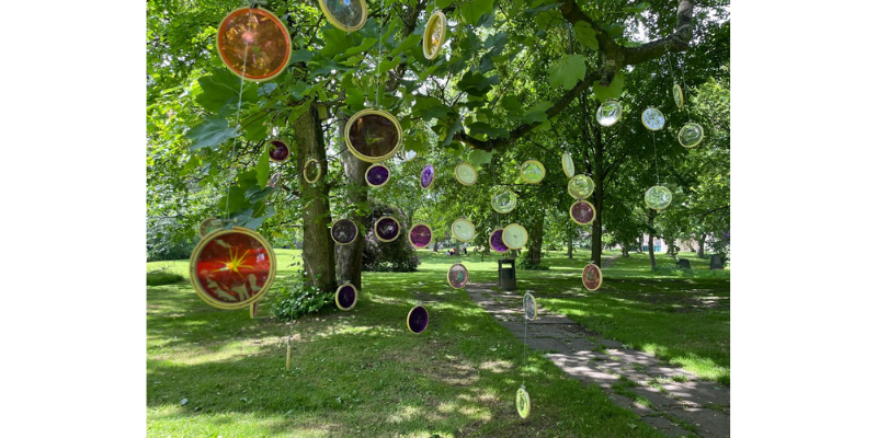 Embroidery hoops covered with coloured film hang from trees in daylight