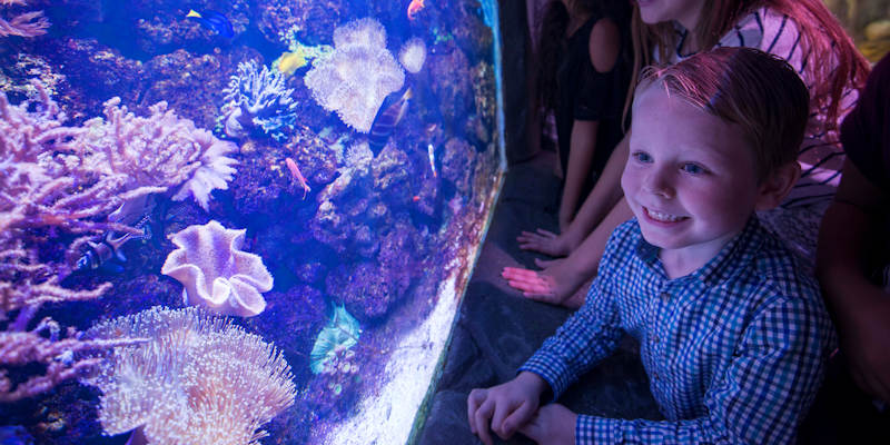 The Tropical World attraction at Roundhay Park, Leeds