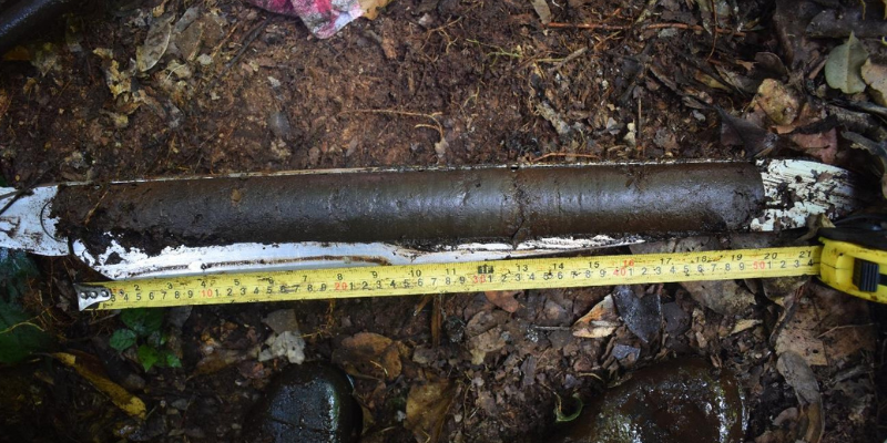The top 50 cm of a peat core collected by the research team.