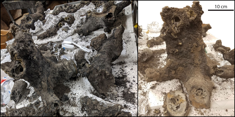 The samples of fulgurite excavated by the researchers