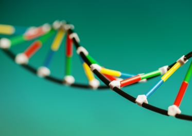 DNA double helix from Istock