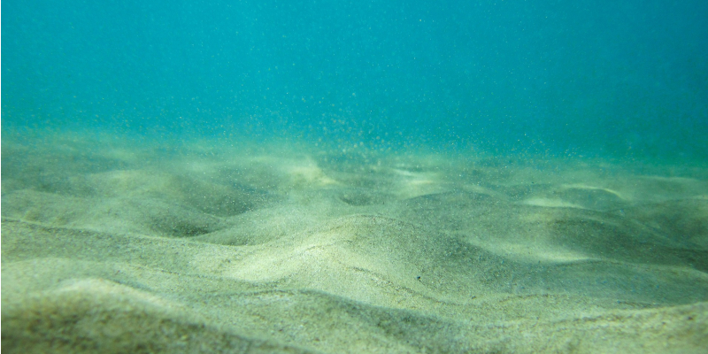 Sediments on the ocean floor.