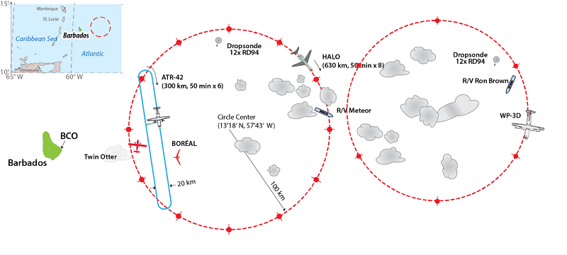 Cross section of the flight paths and shipping routes of the EUREC4A research aircraft and vessel. 
