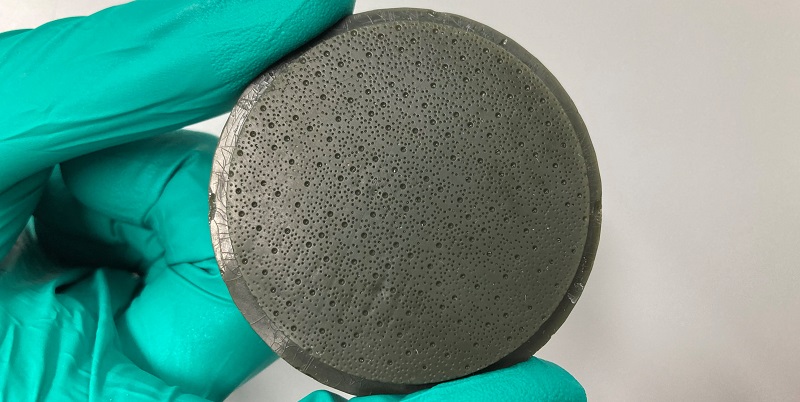 The 3D printed negative mould showing holes for the filiform and fungiform papillae